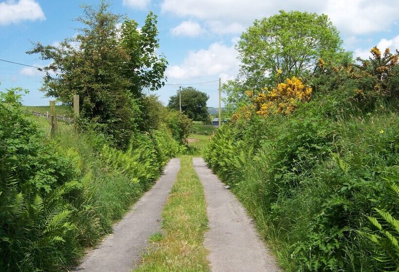 مبيت وإفطار Valley Lodge