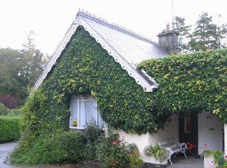 مبيت وإفطار Woodlands Farm