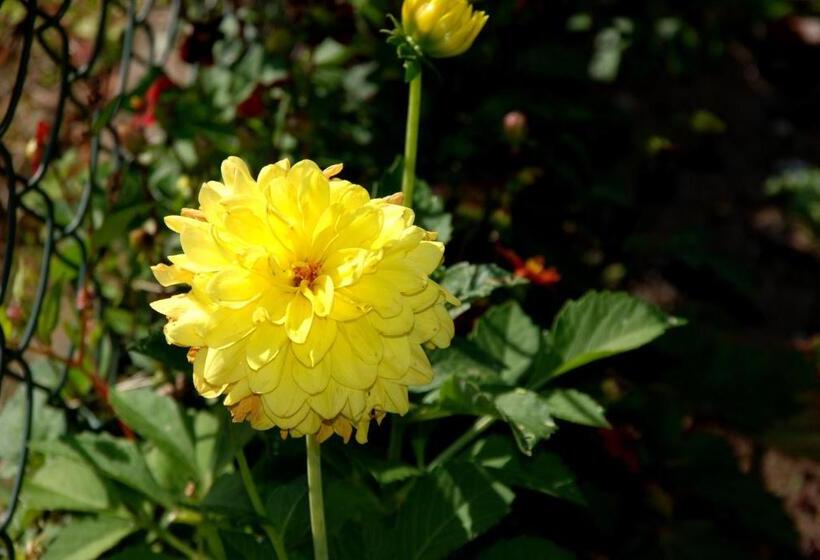 Cradog Farmhouse B&b