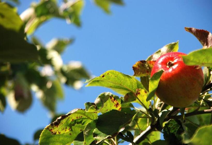 Cradog Farmhouse B&b