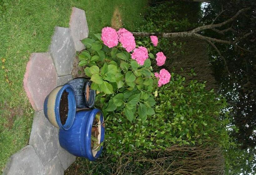 Dunaree Bed And Breakfast