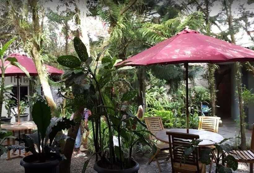 호텔 Baliem Pilamo