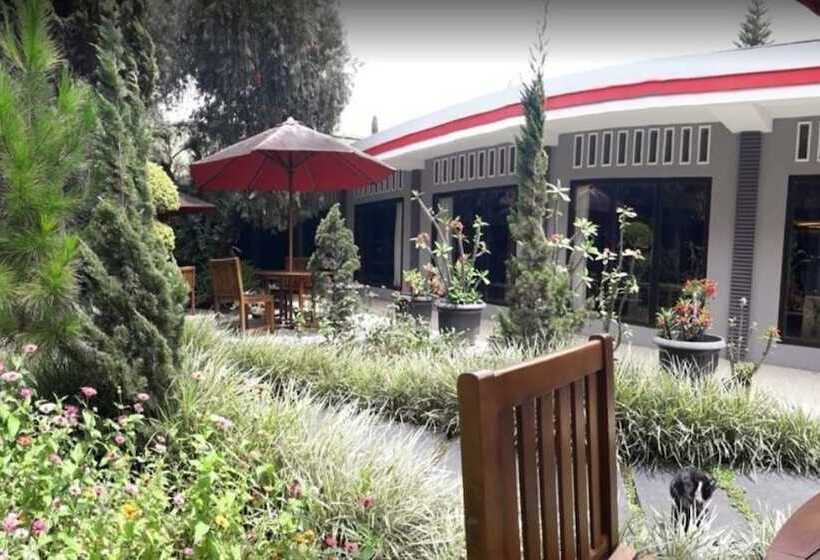 호텔 Baliem Pilamo