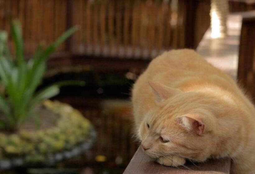 هتل Beijamar Praia