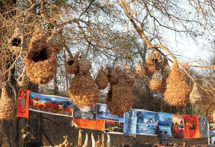 בית מלון כפרי Burchell's Bush Lodge