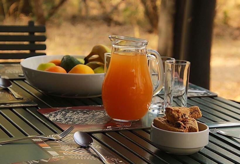 בית מלון כפרי Burchell's Bush Lodge