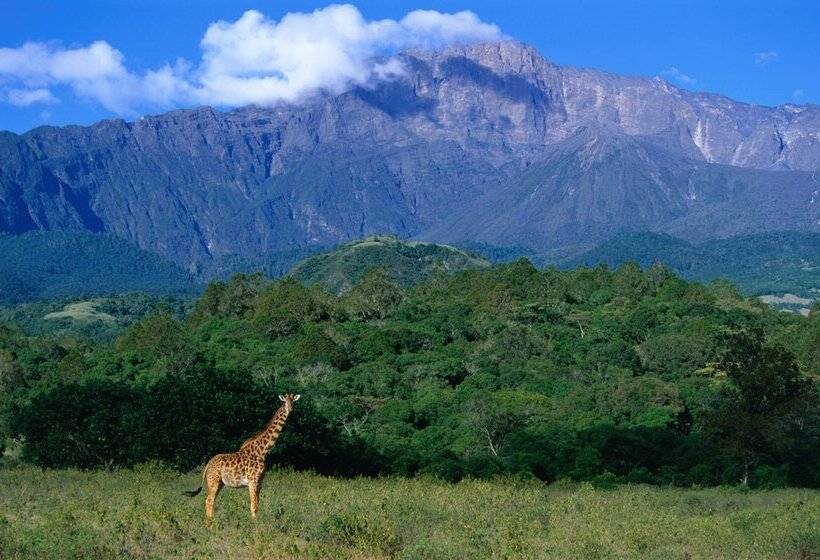 Отель Elewana Arusha Coffee Lodge