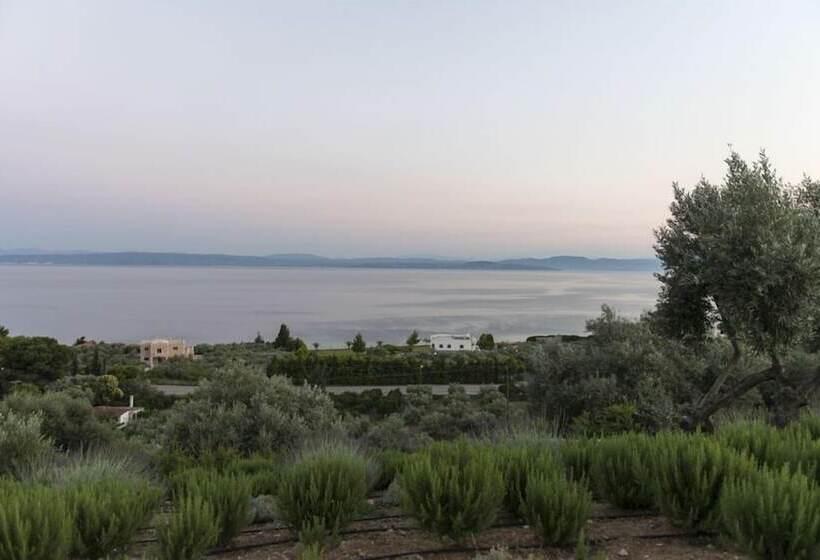 هتل Elimnion Resort