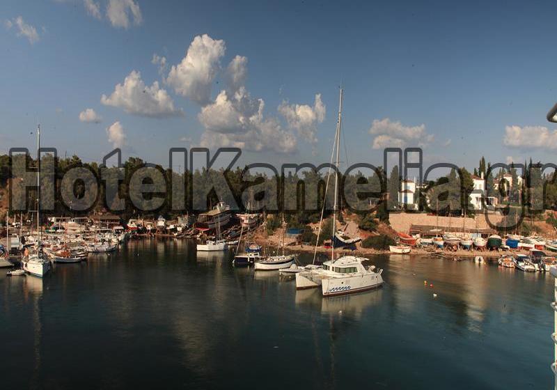 בית מלון כפרי Kamelia