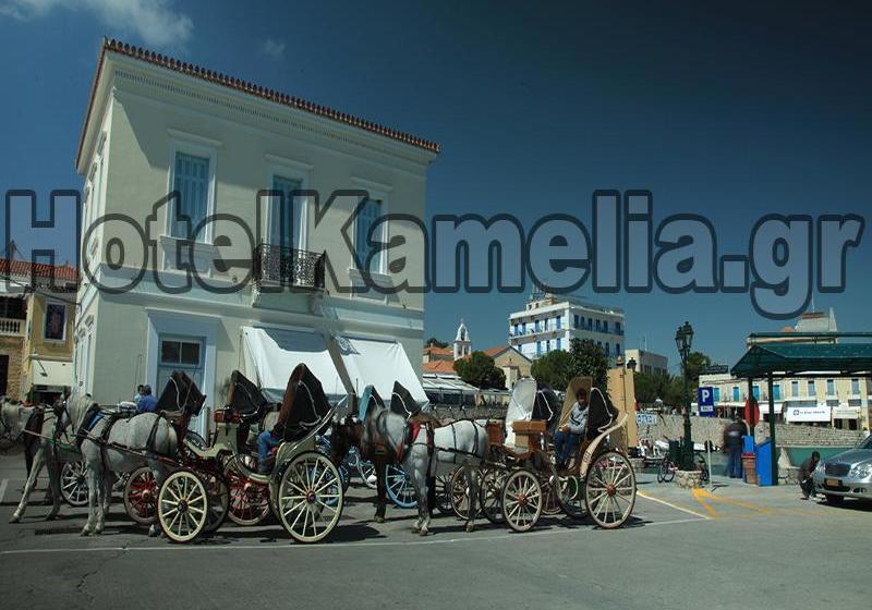 בית מלון כפרי Kamelia