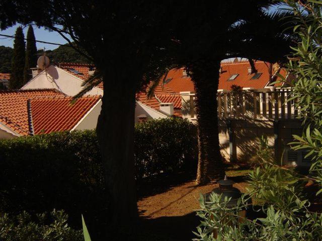 酒店 Karolina's House