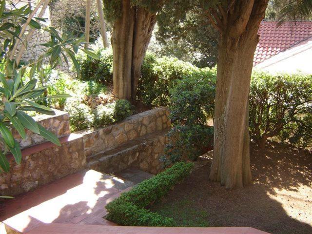 酒店 Karolina's House