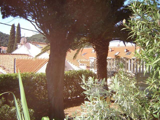 酒店 Karolina's House