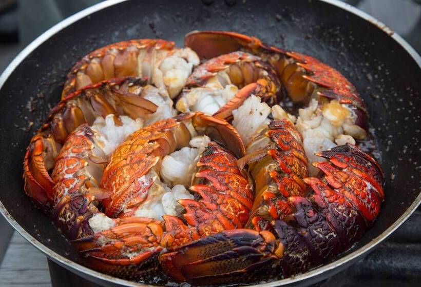 호텔 Minaret Station Alpine Lodge