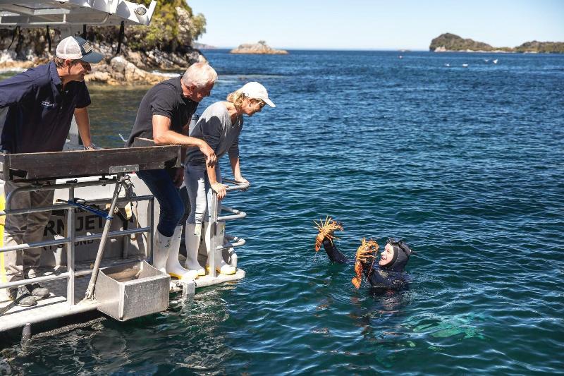 호텔 Minaret Station Alpine Lodge
