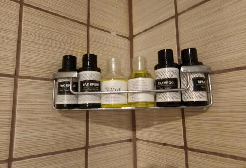 בית מלון כפרי Park Palace