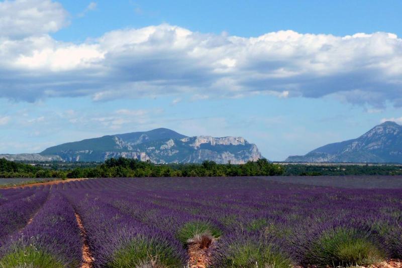 Отель Résidence Le Domaine Du Thronnet