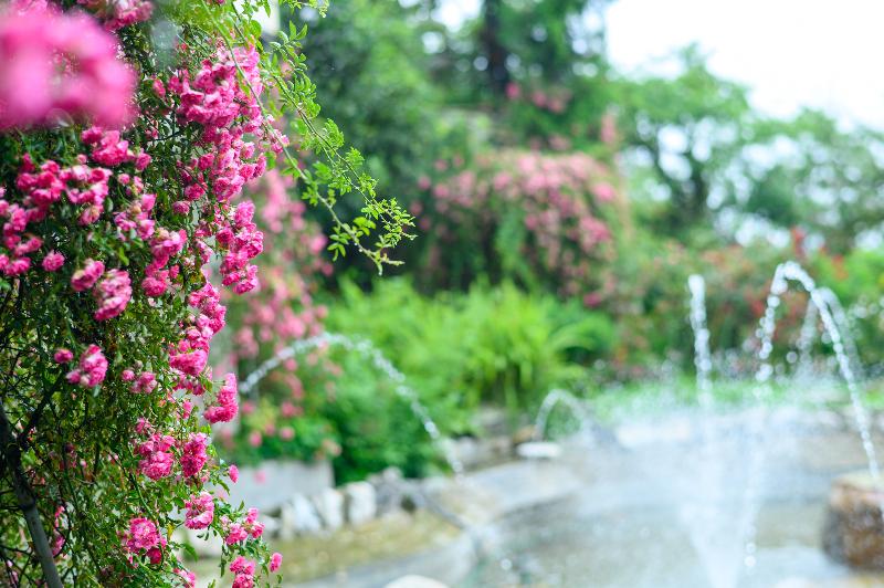 هتل Sapa Highland Resort & Spa