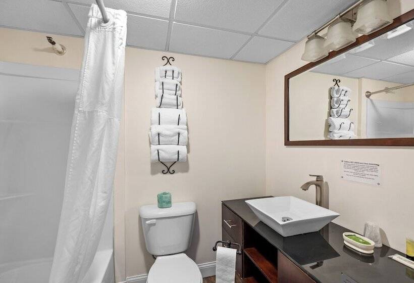 Отель Trade Winds On The Bay