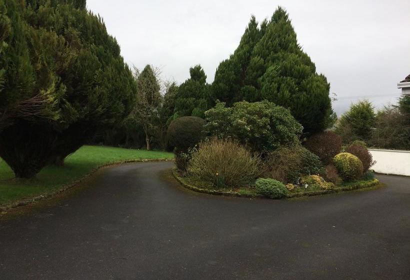 ベッドアンドブレックファースト Palm Grove Guesthouse