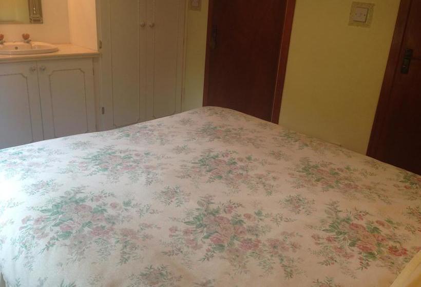 ベッドアンドブレックファースト Palm Grove Guesthouse