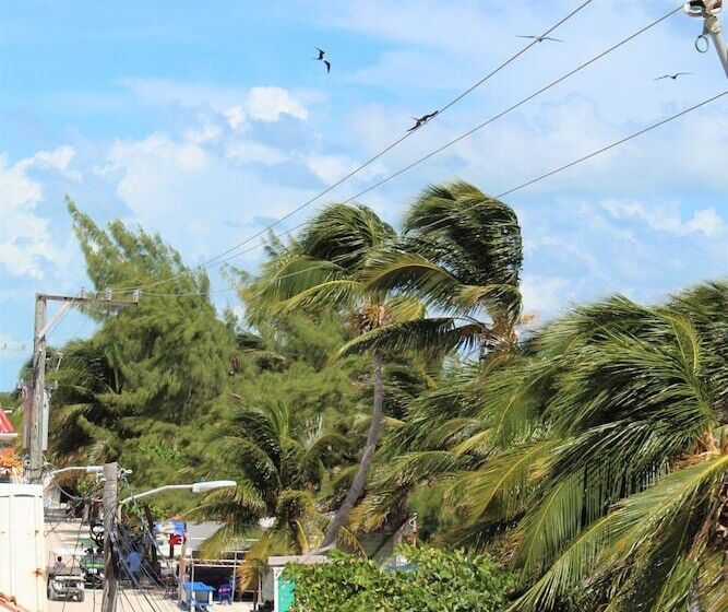 호텔 Barefoot Caye Caulker