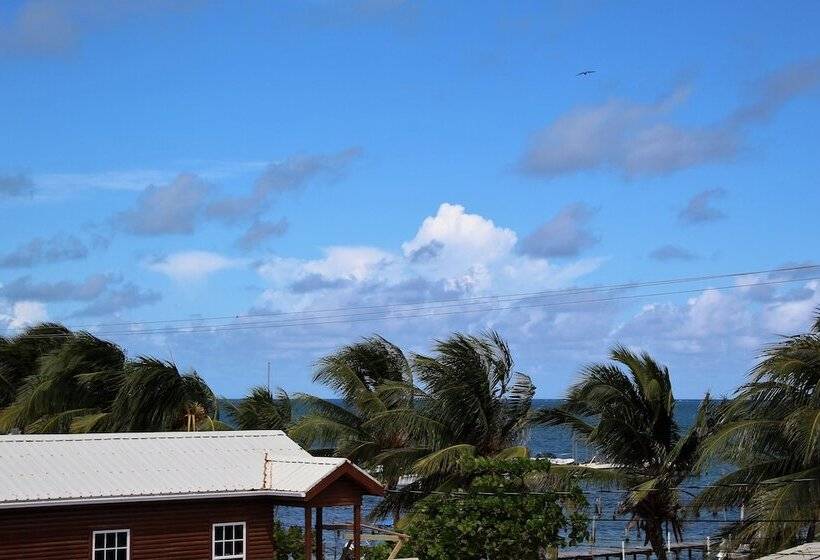 בית מלון כפרי Barefoot Caye Caulker