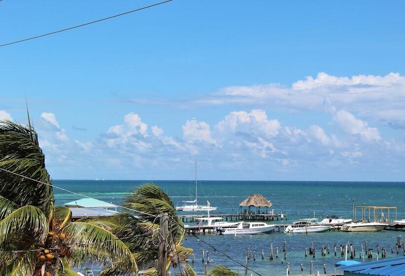 호텔 Barefoot Caye Caulker