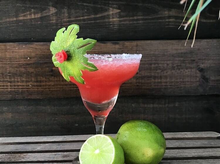 호텔 Barefoot Caye Caulker