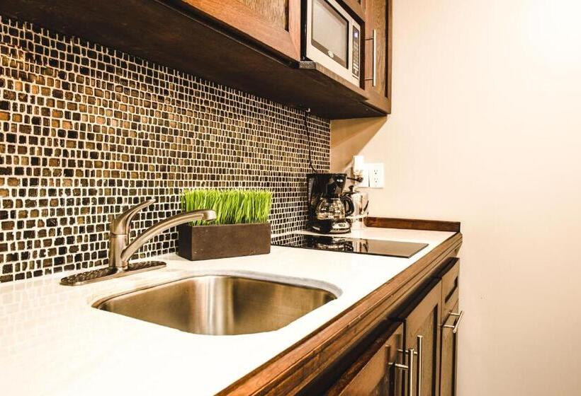 호텔 Barefoot Caye Caulker