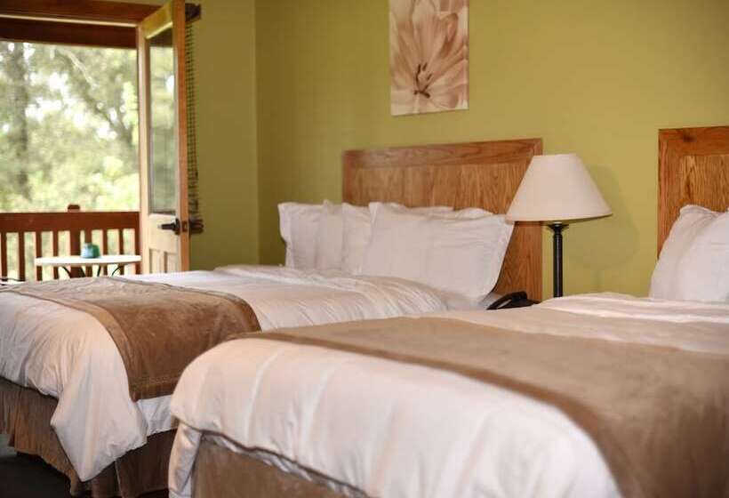 فندق Champions Black Bear Lodge