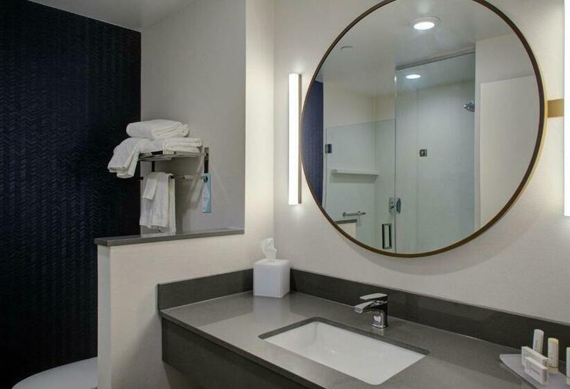 Отель Fairfield Inn & Suites By Marriott Allentown West