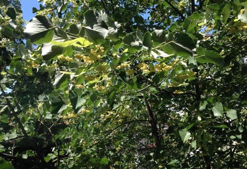 호텔 Galeria Apartments