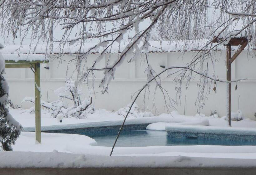 호텔 Galeria In The Garden