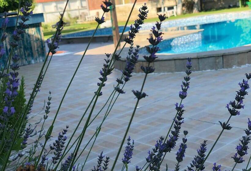 호텔 Galeria In The Garden