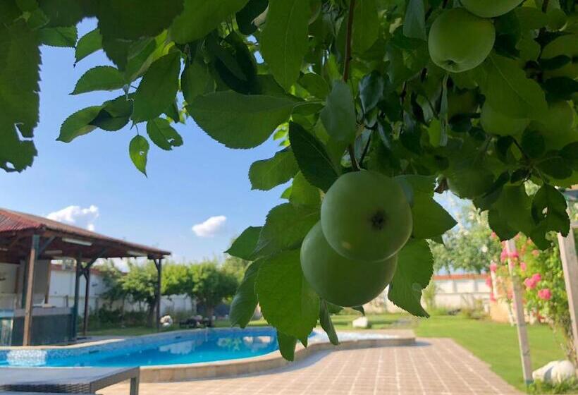 호텔 Galeria In The Garden