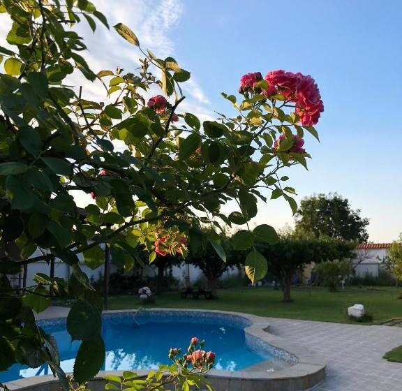 호텔 Galeria In The Garden