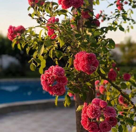 호텔 Galeria In The Garden