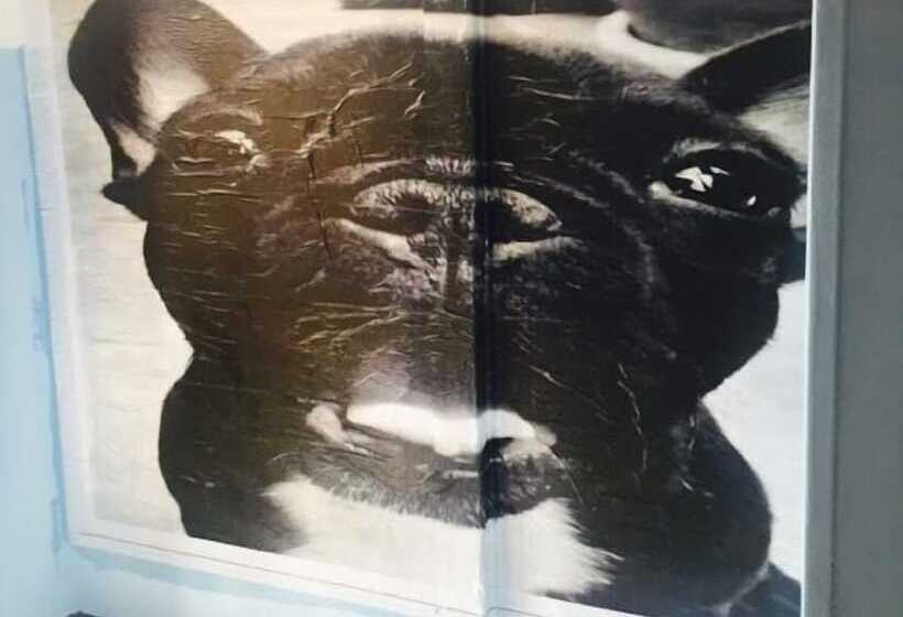 Отель Hostel Central Curitiba