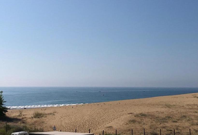 호텔 Kristal Beach