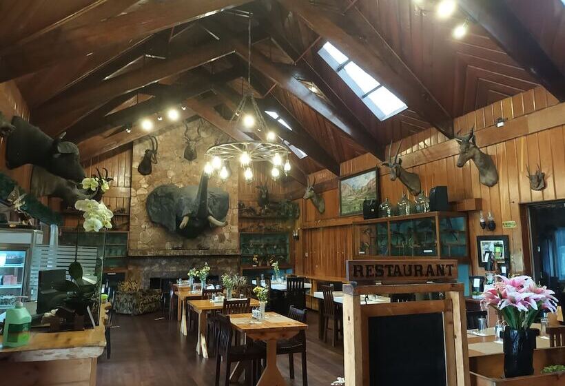 Log Cabin Hotel   Safari Lodge Baguio