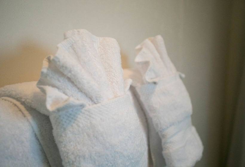 فندق Lou And Francis Guesthouse