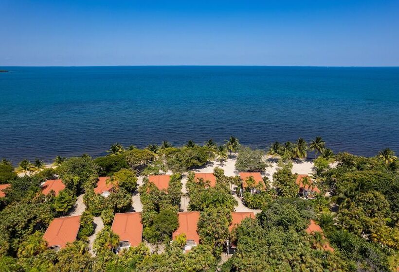 فندق Naia Resort And Spa