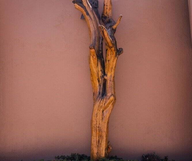 בית מלון כפרי Parina Atacama