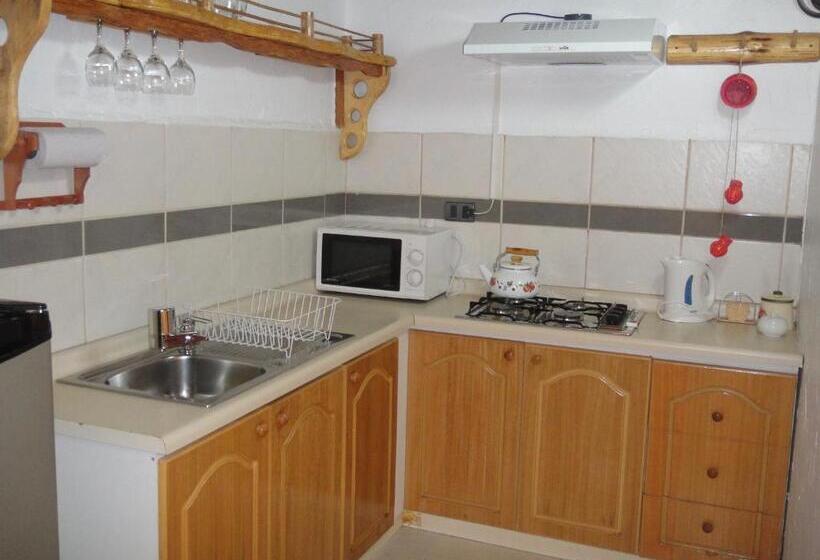 בית מלון כפרי Parina Atacama