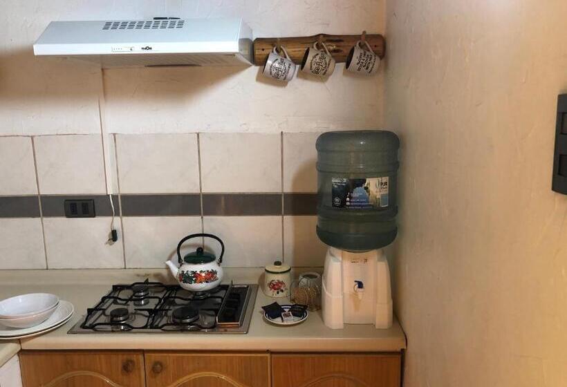 בית מלון כפרי Parina Atacama