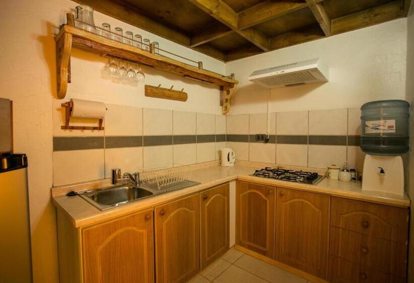 בית מלון כפרי Parina Atacama