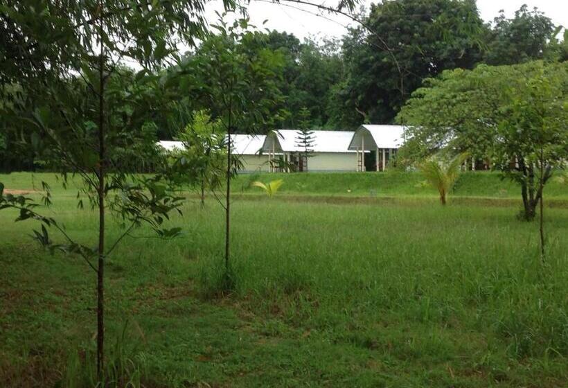 Отель Phuket Campground