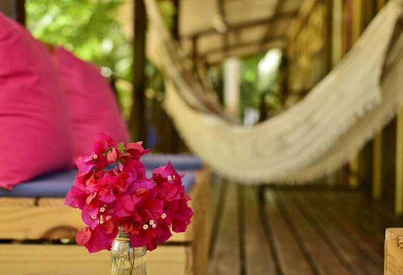 ホテル Pousada Boldró Home