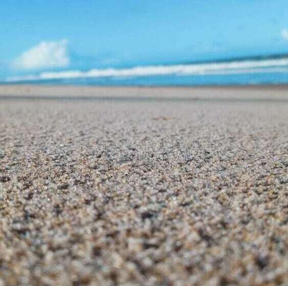 בית מלון כפרי Pousada Trip Inn Recife